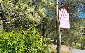 Capers Cottage And Barn Accommodation